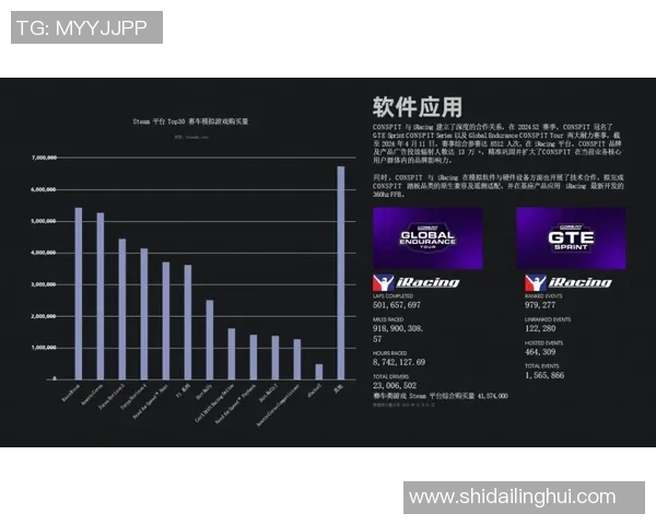 F1赛车燃料策略对比赛成绩与车队战术成效关系的系统化研究分析 F1赛车燃料策略对比赛成绩与车队战术成效关系的系统化研究分析